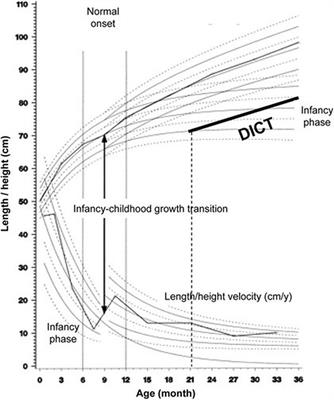 Family Size and the Age at Infancy-Childhood Transition Determine a Child’s Compromised Growth in Large Families